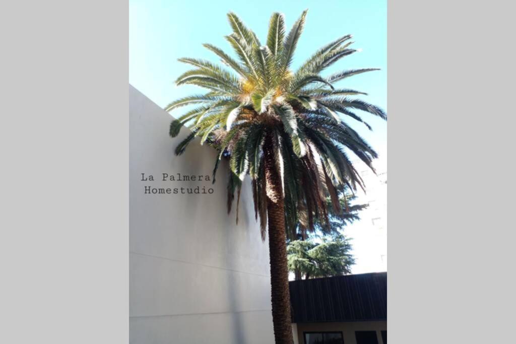 La Palmera Homestudio. Hermoso Apartamento En El Corazon De Palermo Hollywood Буенос Айрес Екстериор снимка